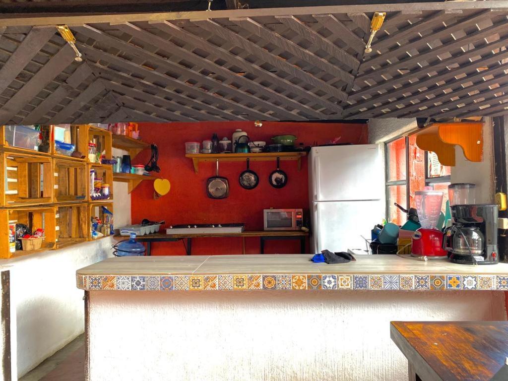 Berlin61 호텔 San Cristóbal de Las Casas 외부 사진