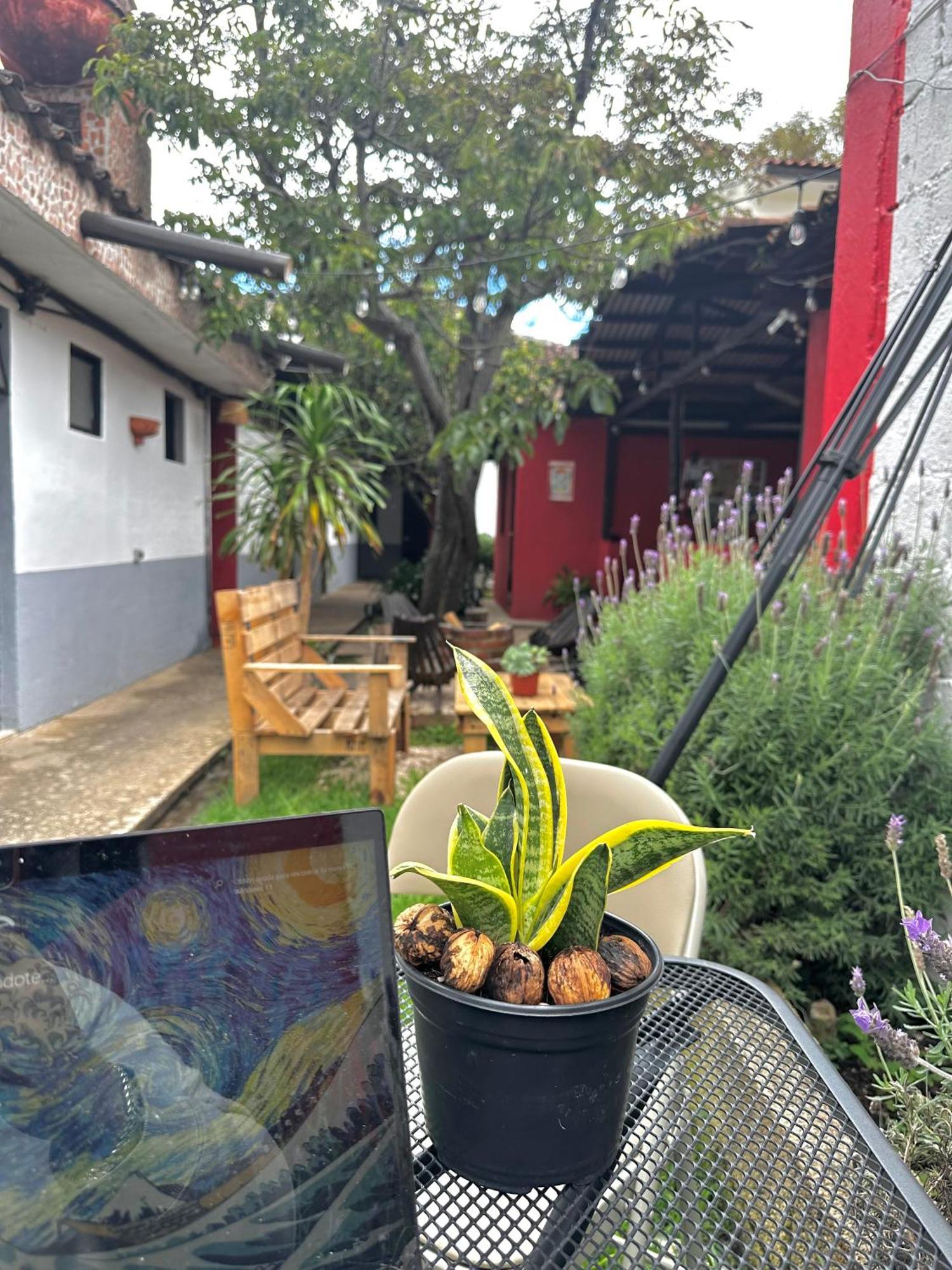 Berlin61 호텔 San Cristóbal de Las Casas 외부 사진